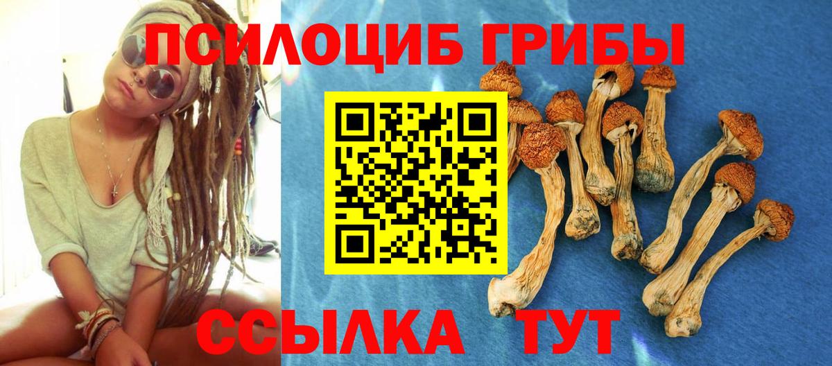 Томск  Галлюциногенные грибы MAGIC MUSHROOMS  Псилоцибиновые грибы Magic Shrooms  Вход с VPN 