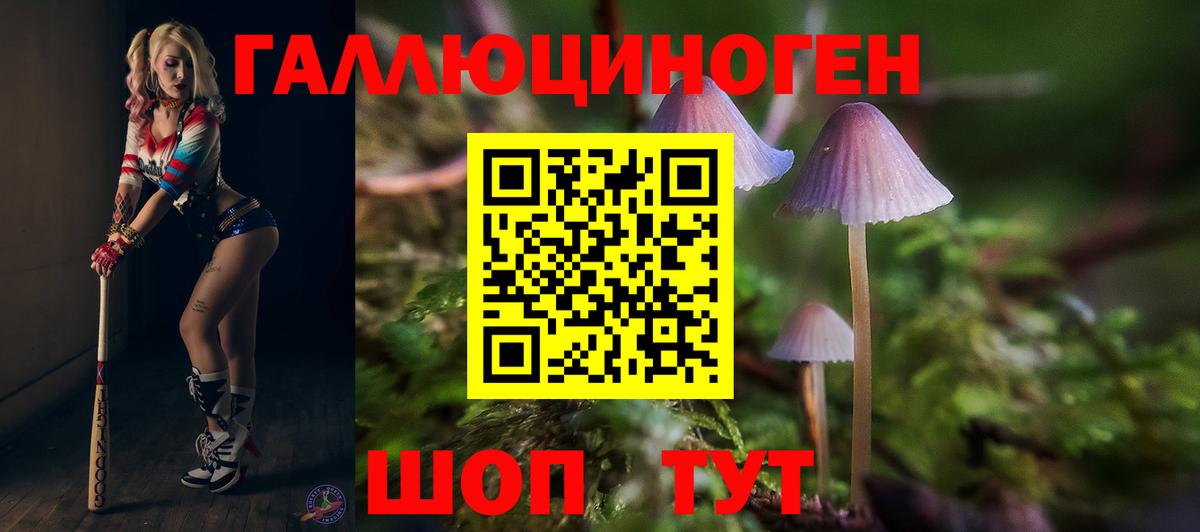 Псилоцибиновые грибы Cubensis Томск